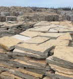 ���������� ��������� ����� ���������� ���������� - PROFISPORTZAL - ���������������� ���������� ������������